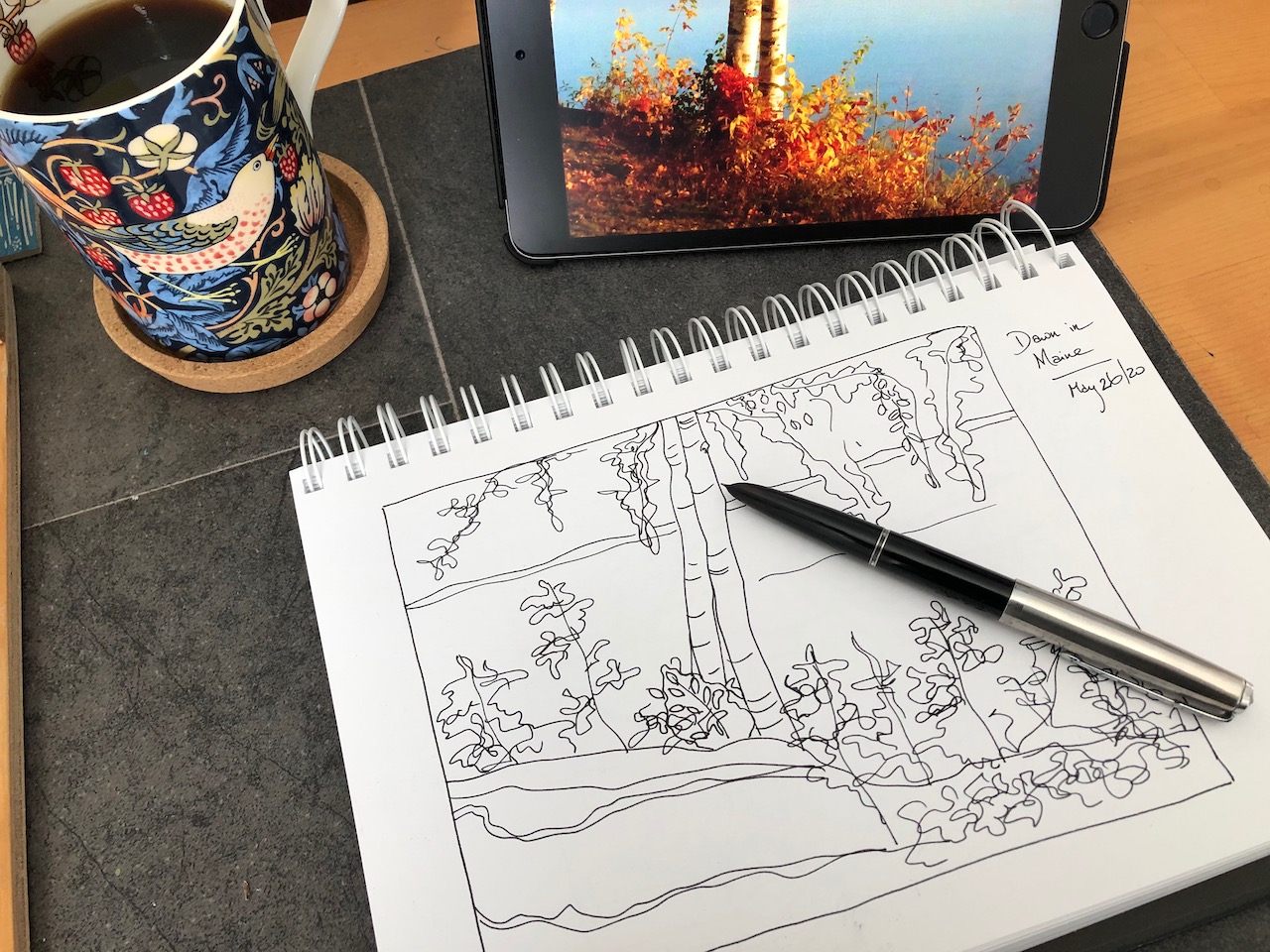 A sketch in India ink on paper